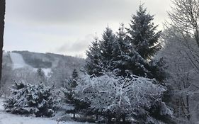Sněženka